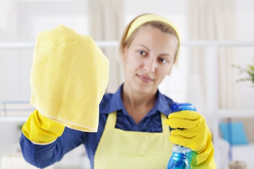 House cleaning services in Hammersmith