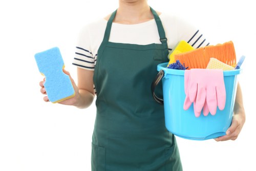 Professional sofa cleaning service in Hammersmith living room