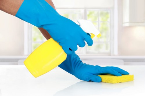 Cleaner assessing a work area for health and safety risks