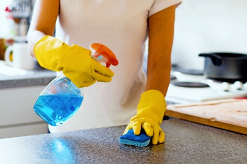 Professional hard floor cleaning in a Hammersmith property entrance