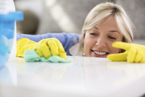 Deep cleaning support from a cleaner in Hammersmith